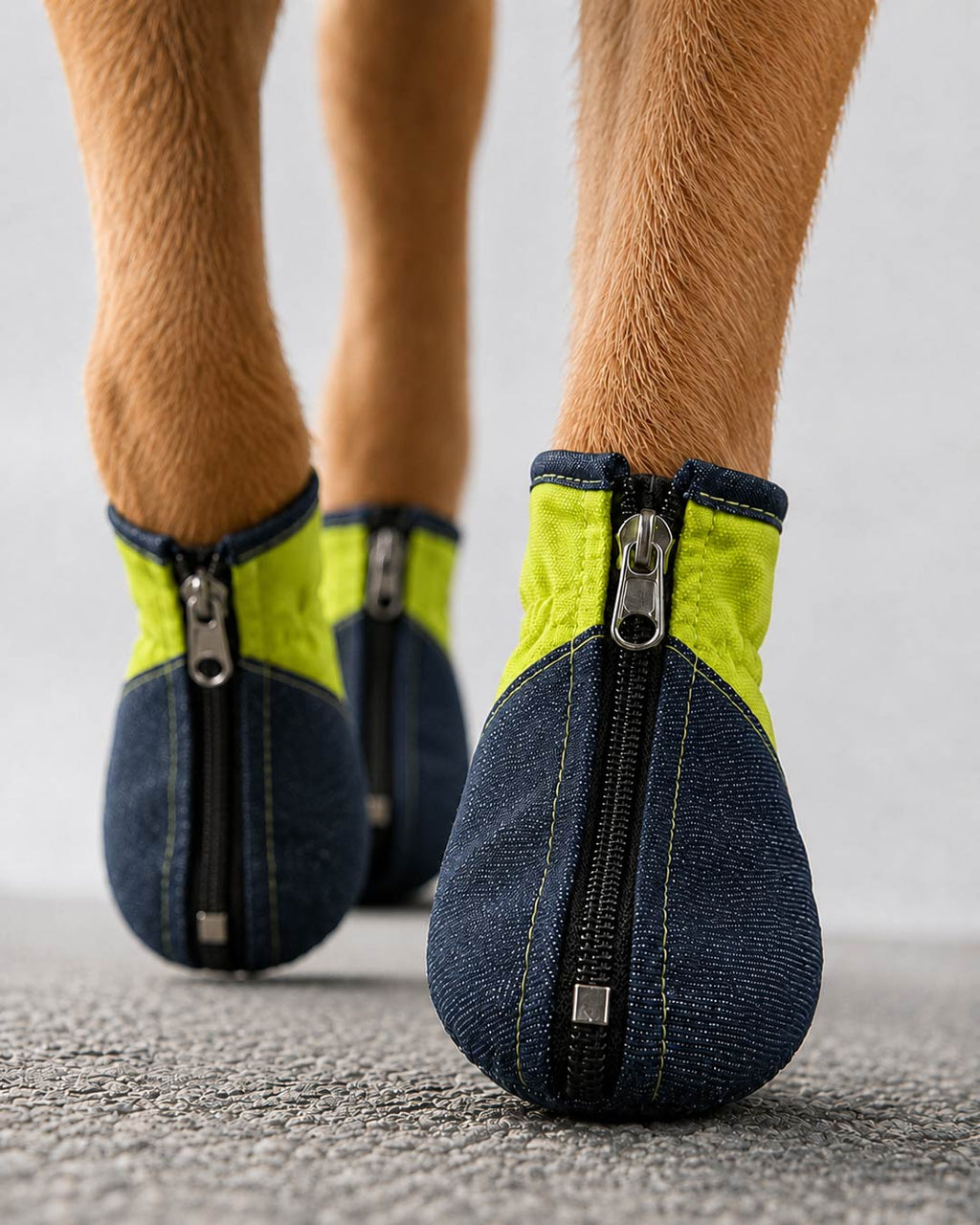 Denix – Anti-Slip Denim Dog Shoes