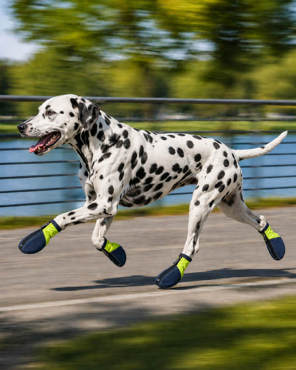 Denix – Anti-Slip Denim Dog Shoes