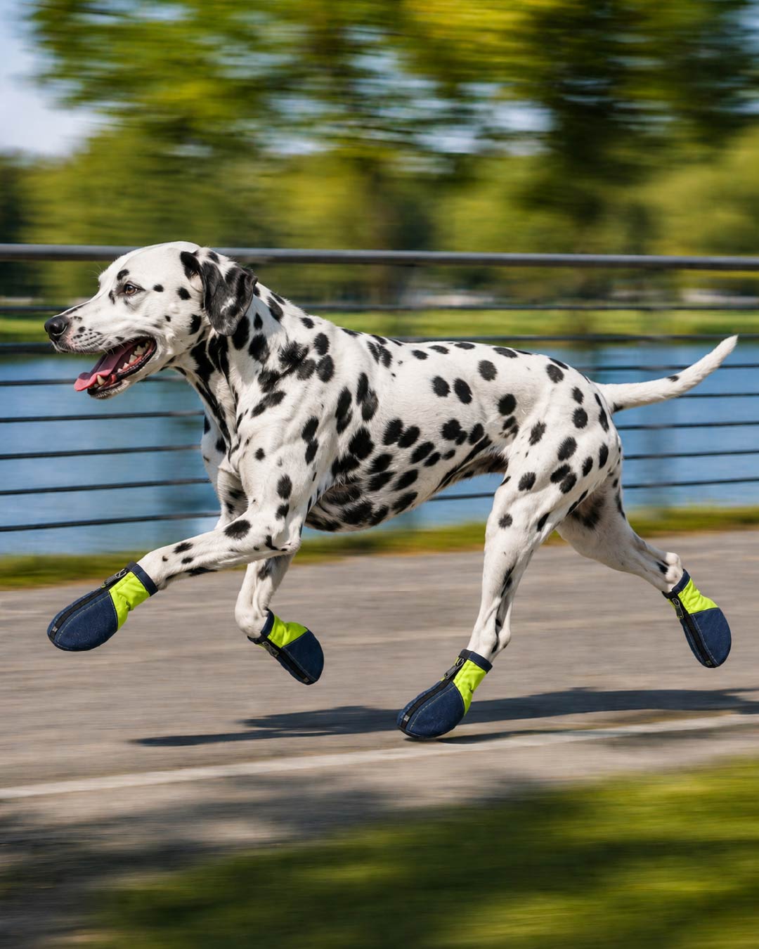 Denix – Anti-Slip Denim Dog Shoes