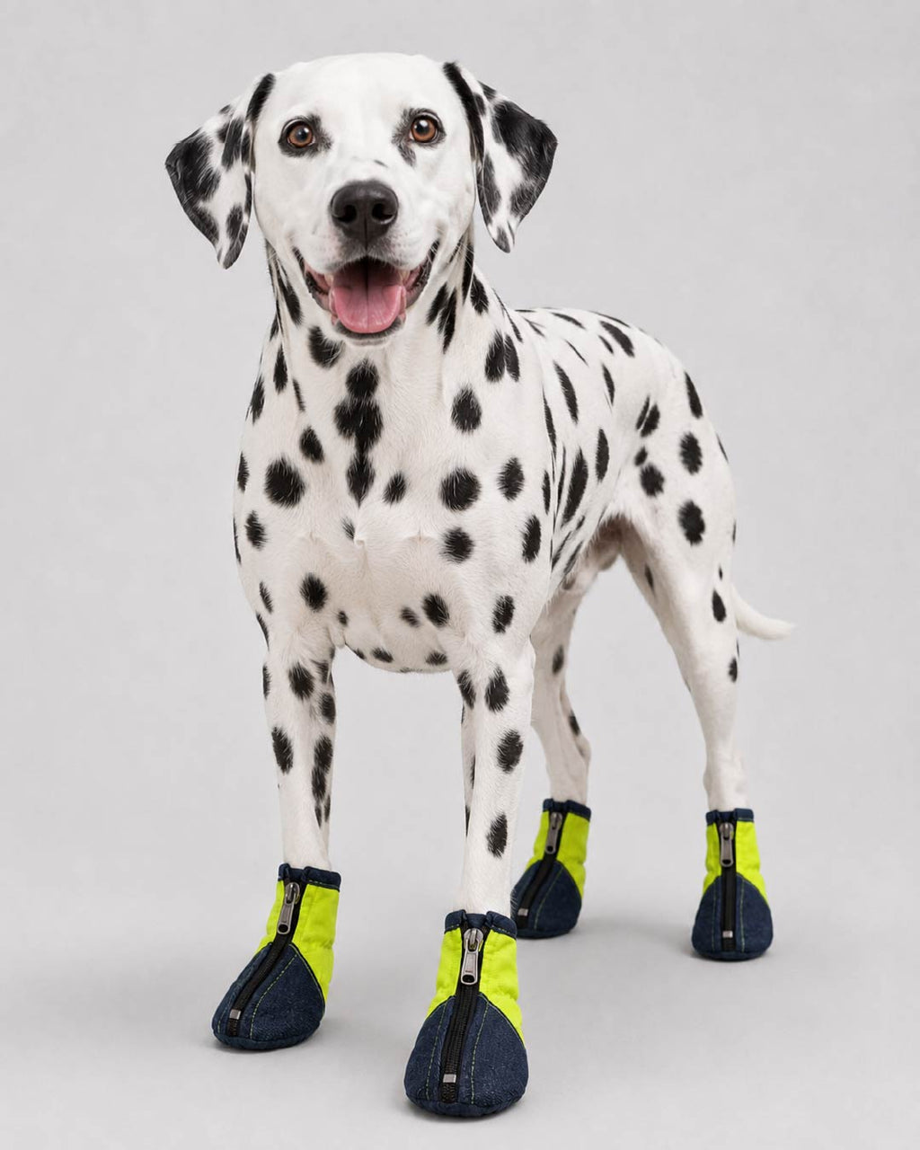 Denix – Anti-Slip Denim Dog Shoes