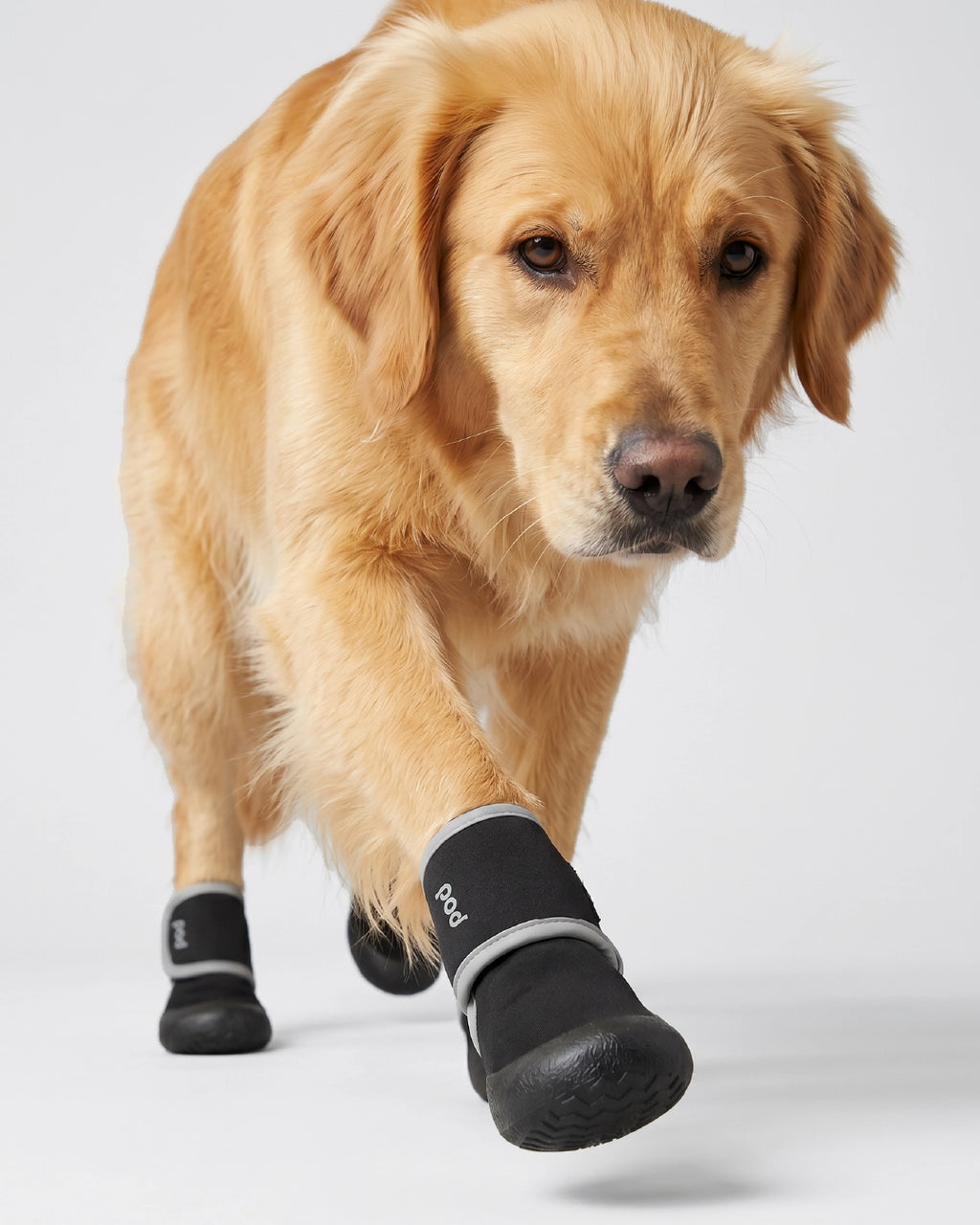 Veyra | Anti-Slip Dog Boots