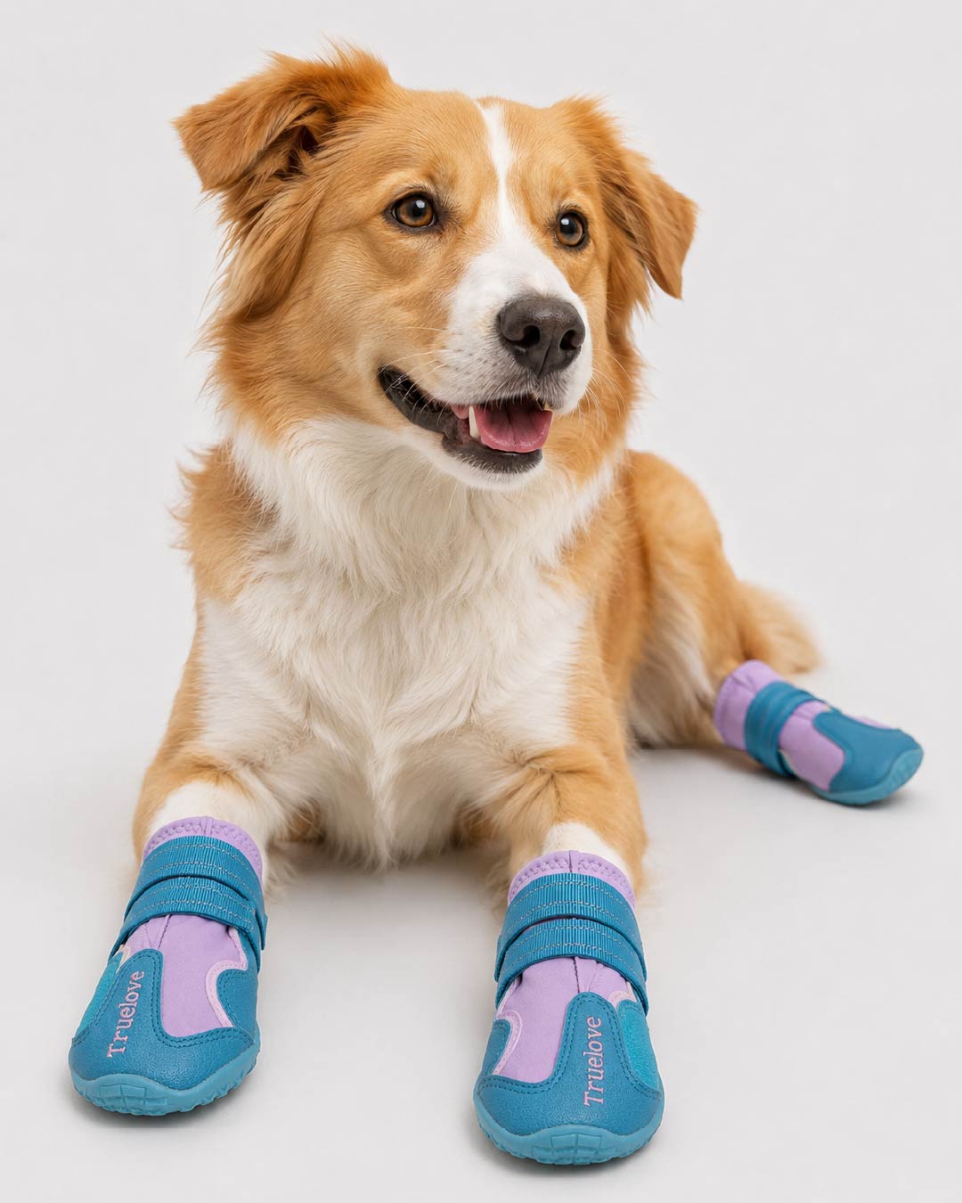 Vortek | Anti-Slip All-Weather Dog Boots
