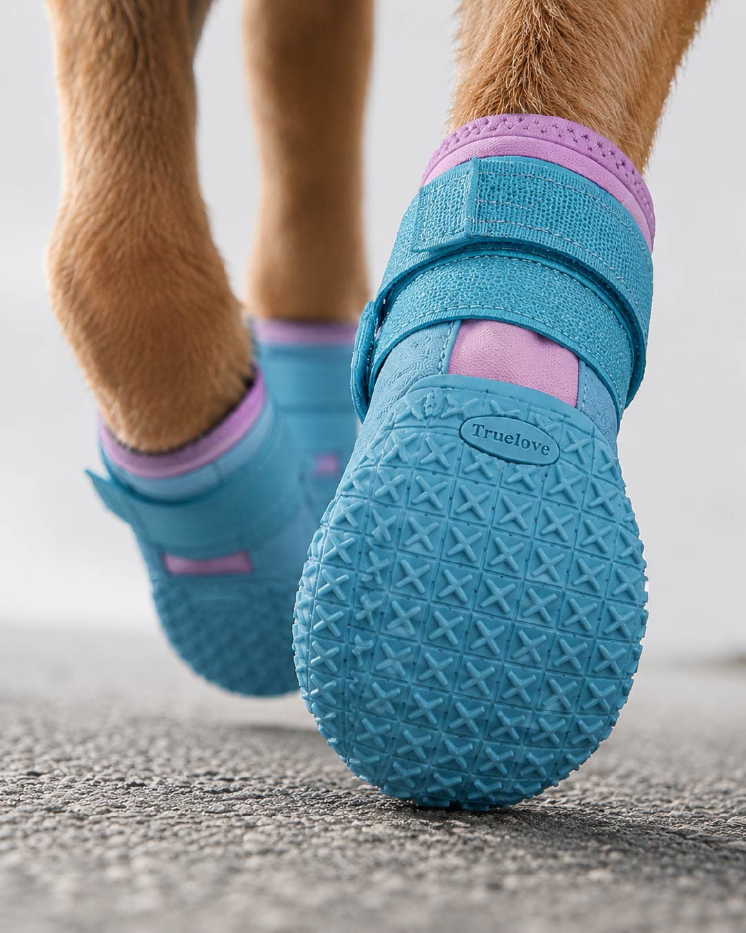 Vortek | Anti-Slip All-Weather Dog Boots